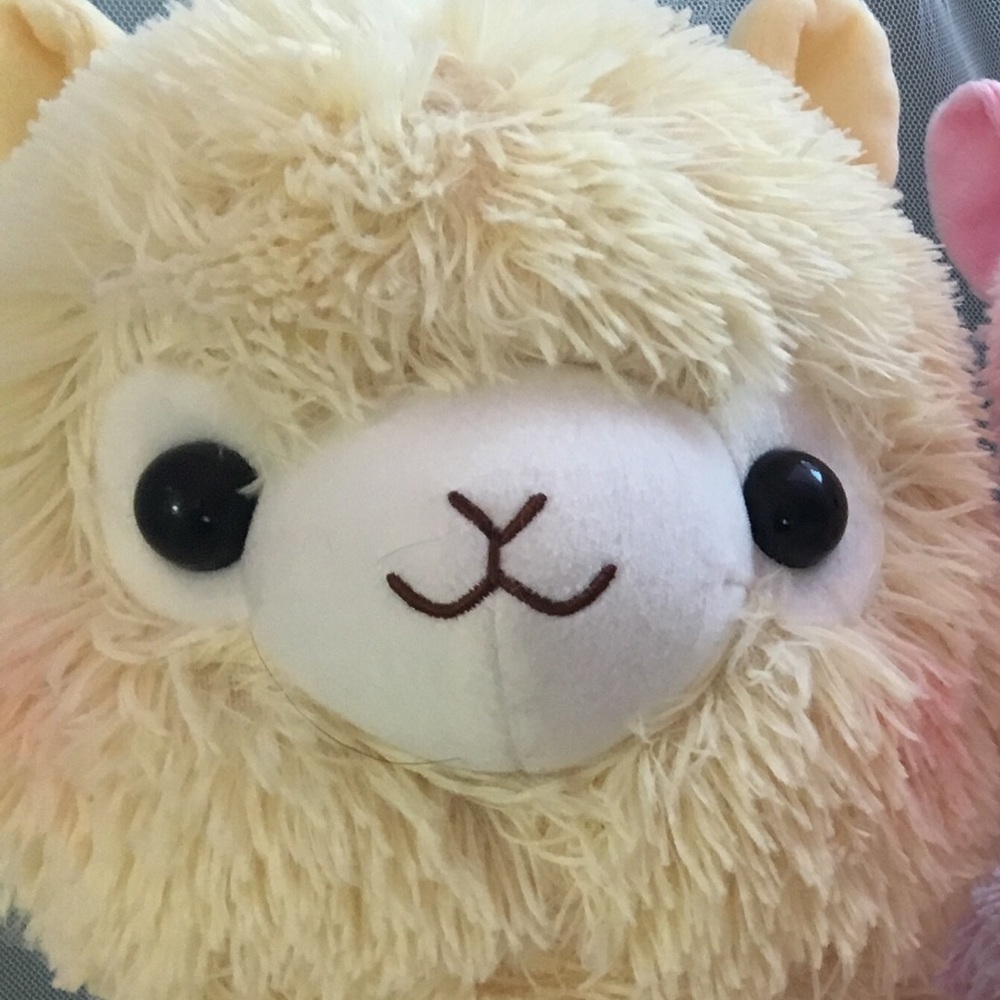 Meet your Posher, Colleen